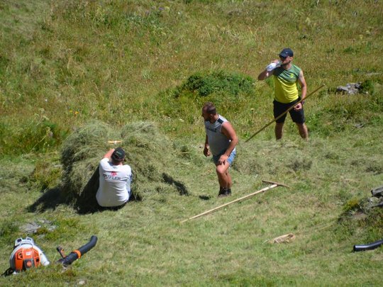 Urlaub auf dem Bauernhof im Passeiertal Urlaub auf dem Bauernhof im Passeiertal