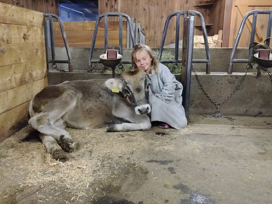 Una vacanza in montagna a Plan Una vacanza in montagna a Plan