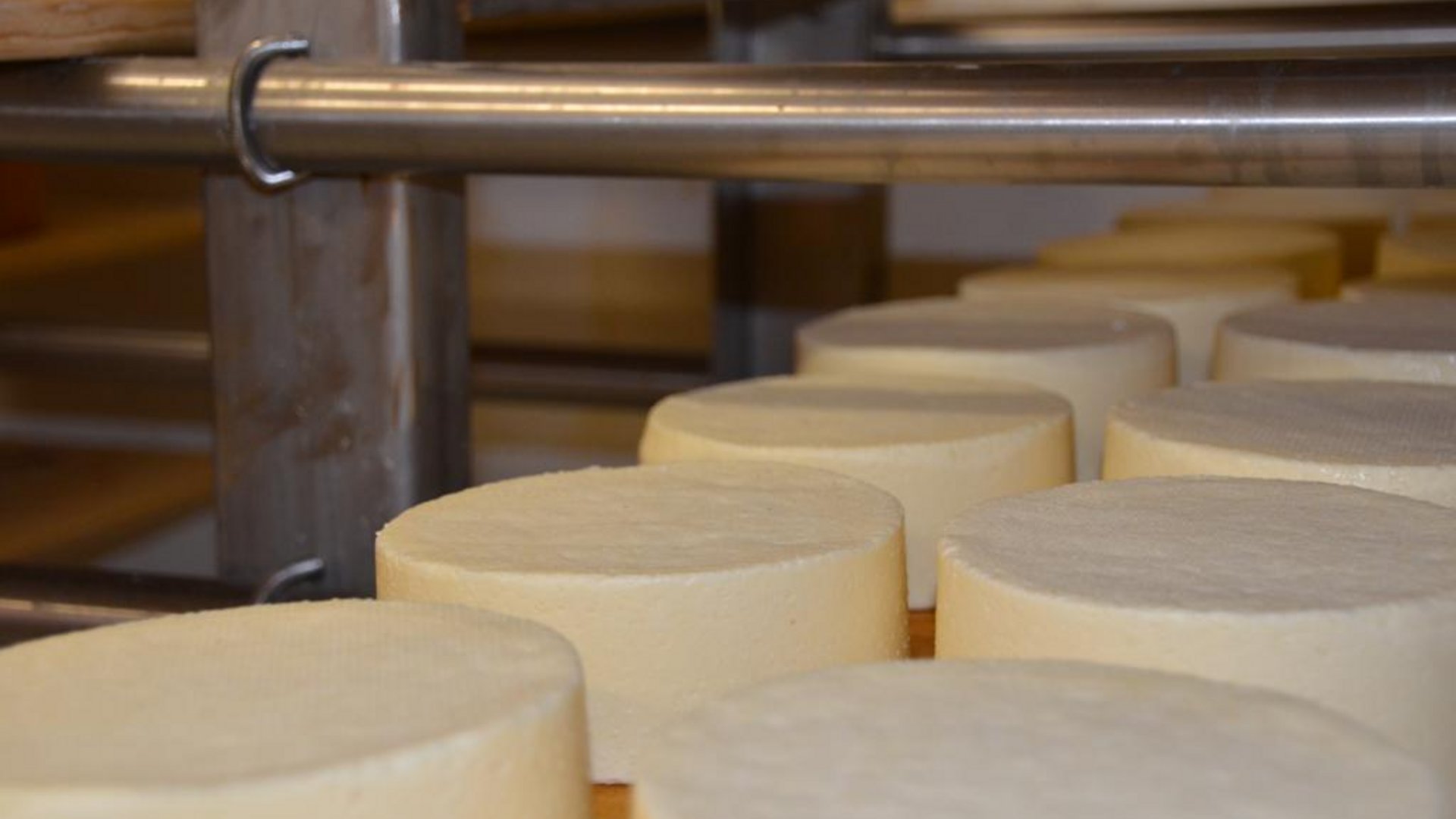 Hofkäse aus Pfelders – muasch probieren! Hofkäse aus Pfelders – muasch probieren!