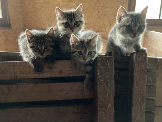 Urlaub auf dem Bauernhof im Passeiertal Urlaub auf dem Bauernhof im Passeiertal