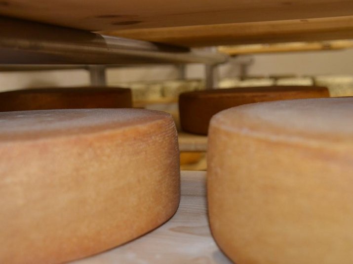 Caseificio di montagna Seppnerhof: qualità tutta da assaporare Caseificio di montagna Seppnerhof: qualità tutta da assaporare