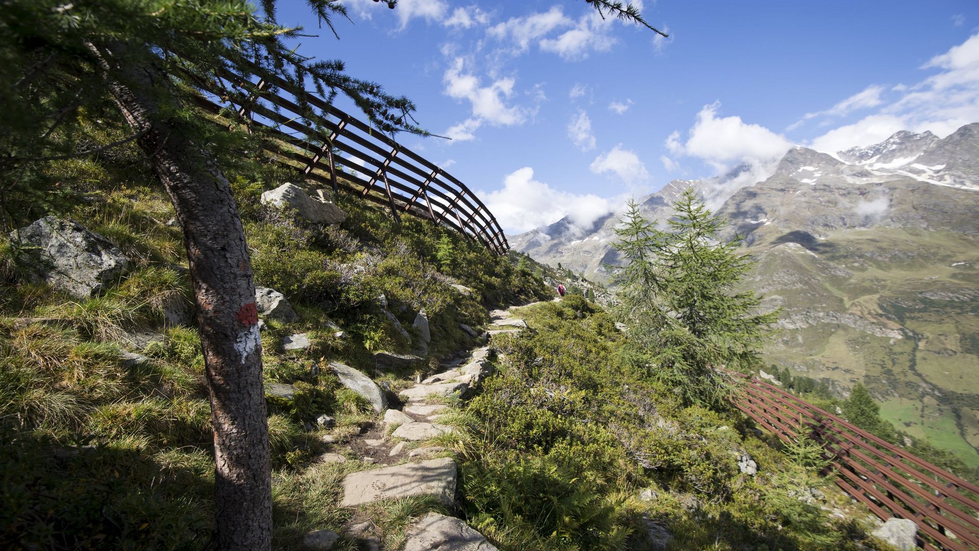 Skigebiet Pfelders, die Texelgruppe und vieles mehr Skigebiet Pfelders, die Texelgruppe und vieles mehr