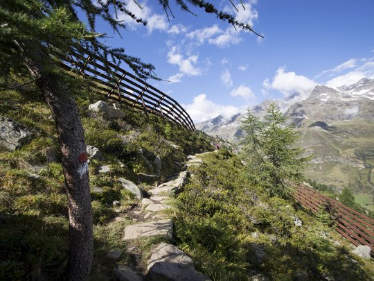 Skigebiet Pfelders, die Texelgruppe und vieles mehr Skigebiet Pfelders, die Texelgruppe und vieles mehr