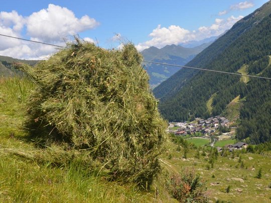 Urlaub auf dem Bauernhof im Passeiertal Urlaub auf dem Bauernhof im Passeiertal