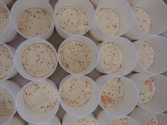 Caseificio di montagna Seppnerhof: qualità tutta da assaporare Caseificio di montagna Seppnerhof: qualità tutta da assaporare