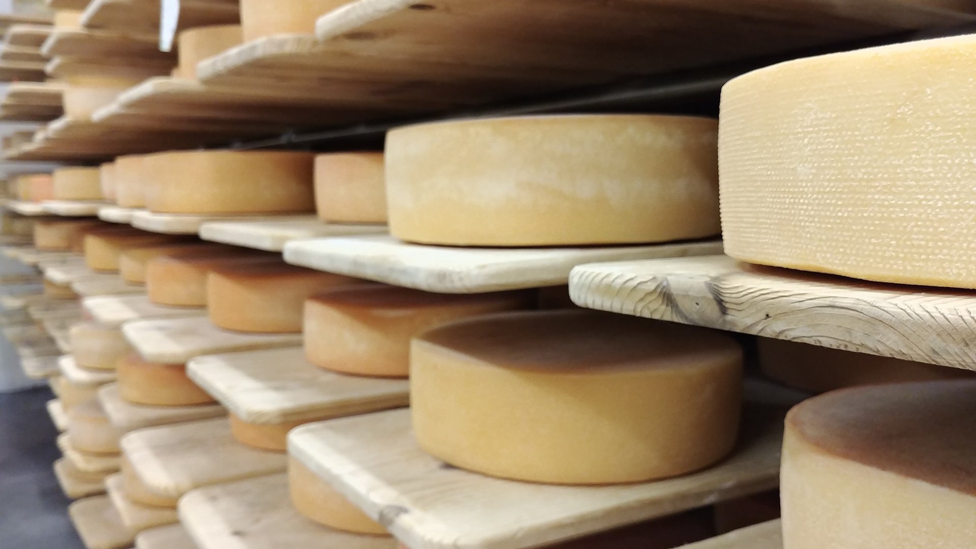 Una vacanza in montagna a Plan Una vacanza in montagna a Plan