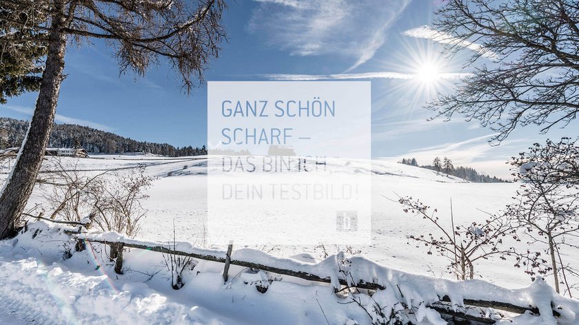Winter Winter