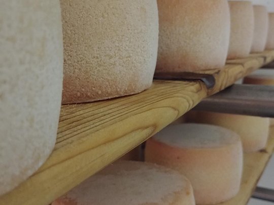 Caseificio di montagna Seppnerhof: qualità tutta da assaporare Caseificio di montagna Seppnerhof: qualità tutta da assaporare