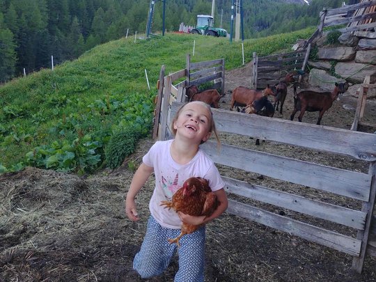 Urlaub auf dem Bauernhof im Passeiertal Urlaub auf dem Bauernhof im Passeiertal
