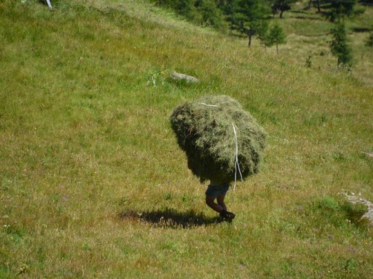 Urlaub auf dem Bauernhof im Passeiertal Urlaub auf dem Bauernhof im Passeiertal