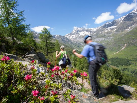 Skigebiet Pfelders, die Texelgruppe und vieles mehr Skigebiet Pfelders, die Texelgruppe und vieles mehr