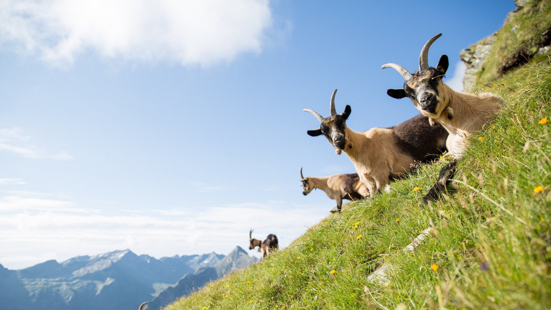 Vacanza in maso in Alto Adige. Ti aspettiamo! Vacanza in maso in Alto Adige. Ti aspettiamo!