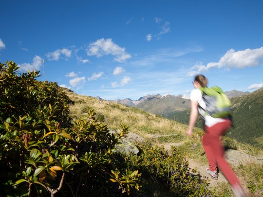 Skigebiet Pfelders, die Texelgruppe und vieles mehr Skigebiet Pfelders, die Texelgruppe und vieles mehr