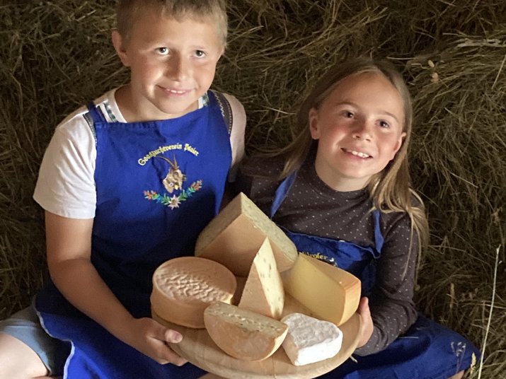 Hofkäse aus Pfelders – muasch probieren! Hofkäse aus Pfelders – muasch probieren!