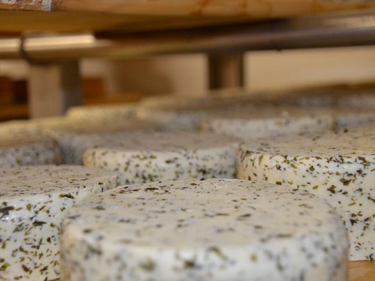 Caseificio di montagna Seppnerhof: qualità tutta da assaporare Caseificio di montagna Seppnerhof: qualità tutta da assaporare