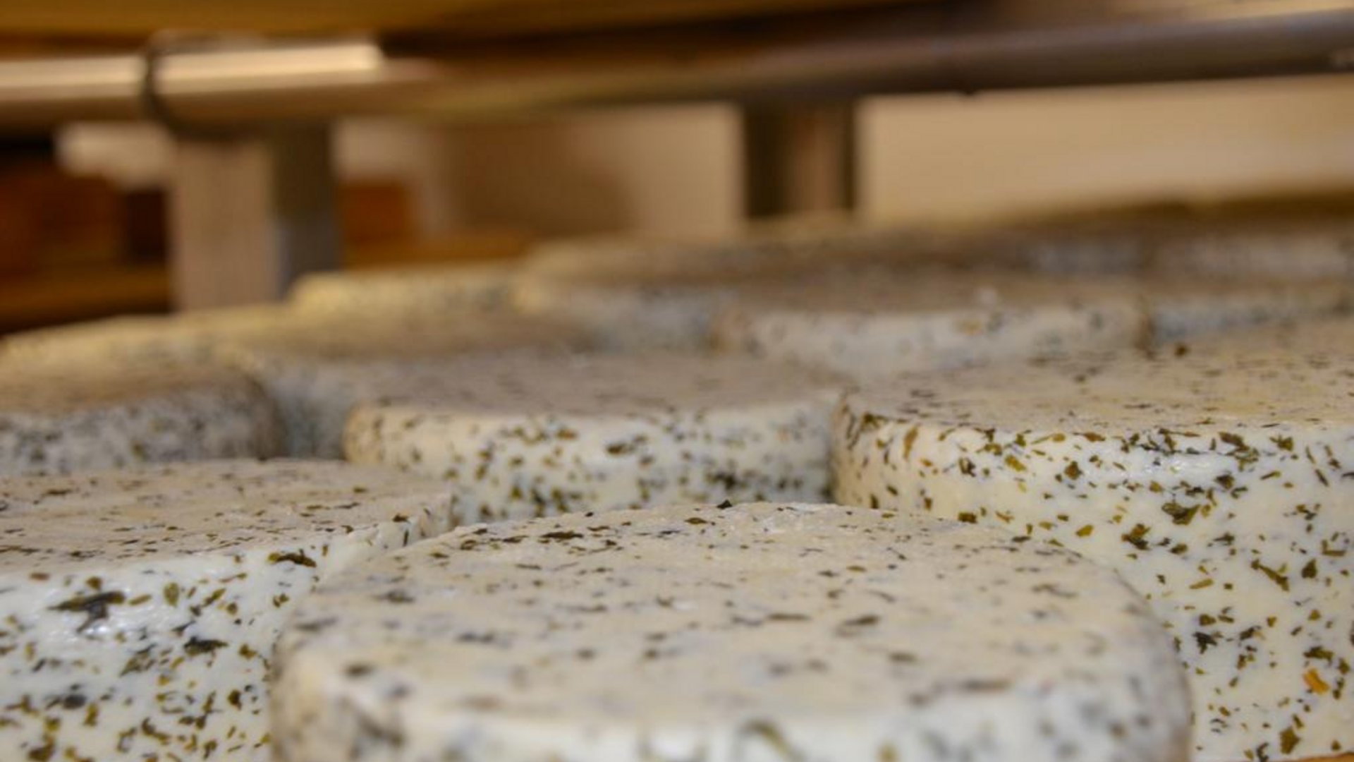 Caseificio di montagna Seppnerhof: qualità tutta da assaporare Caseificio di montagna Seppnerhof: qualità tutta da assaporare