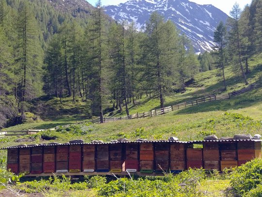 Una vacanza in montagna a Plan Una vacanza in montagna a Plan