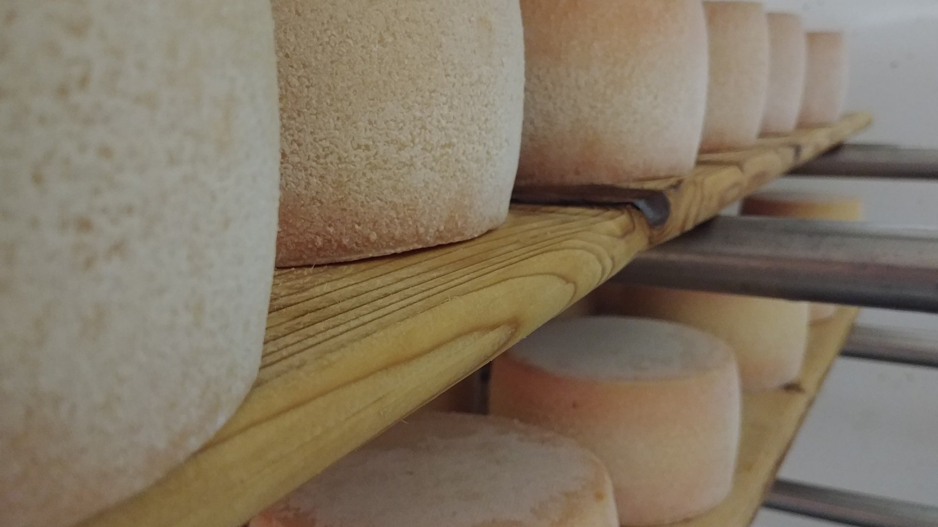 Caseificio di montagna Seppnerhof: qualità tutta da assaporare Caseificio di montagna Seppnerhof: qualità tutta da assaporare