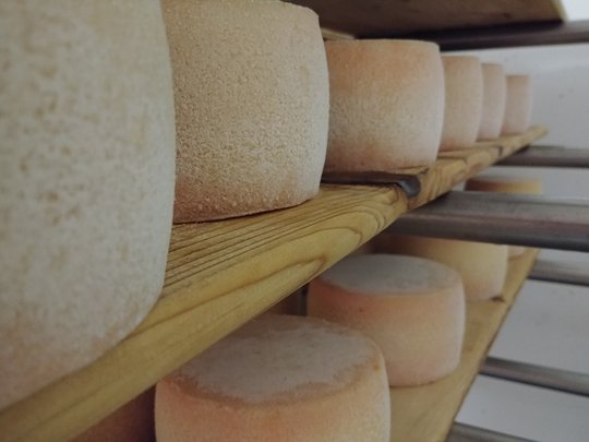 I tuoi appartamenti in Val Passiria I tuoi appartamenti in Val Passiria